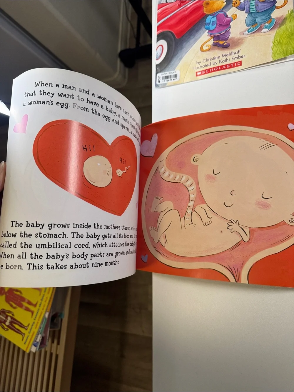 Kids Human Body & Private Parts & more Book Bundle